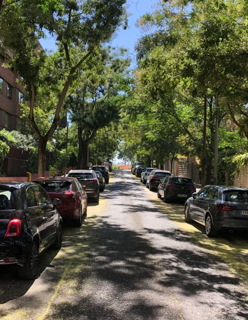 Piso en Atalaya - Foto 12