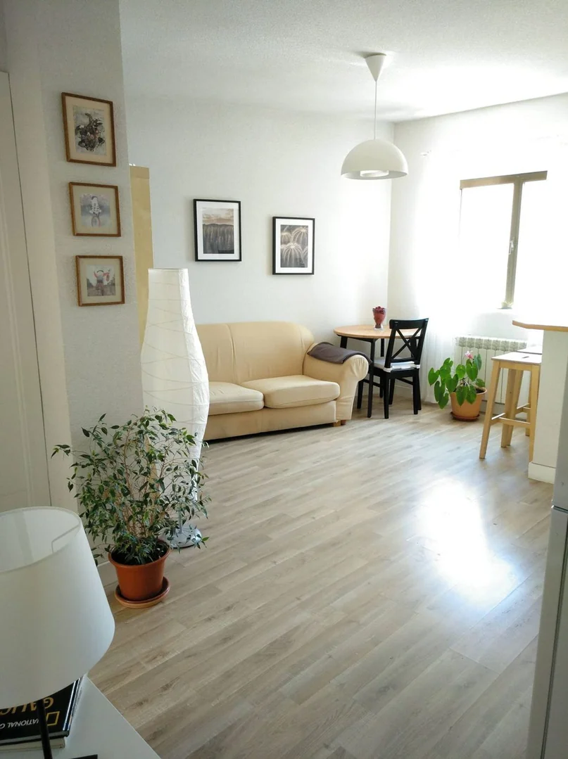Piso en Calle de Maudes, 44, Nuevos Ministerios-Ríos Rosas - Foto 5