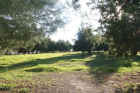 Piso en calle de Antonio Gades, 1 - Foto 17