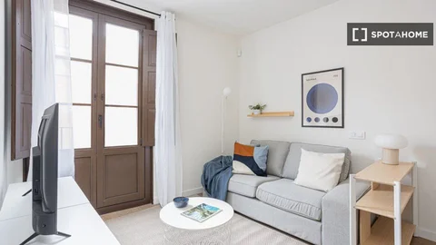 Estudio en Calle de Sant Bertran, El Raval - Foto 4