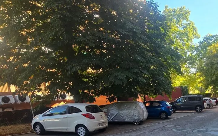 Piso en Avenida Valladolid, 33, Casa de Campo - Foto 20