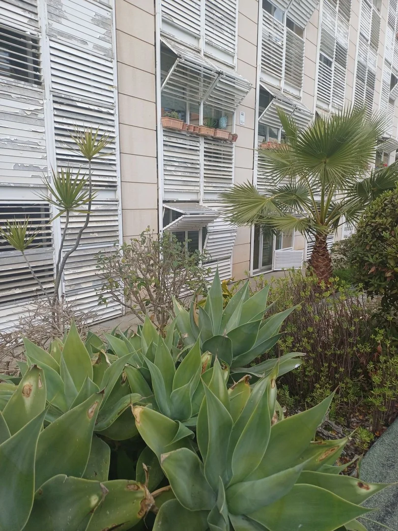 Piso en avenida d'Icària, 168 - Foto 12