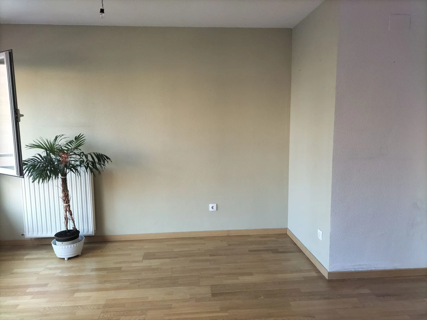 Piso en calle Ages, 5 - Foto 3