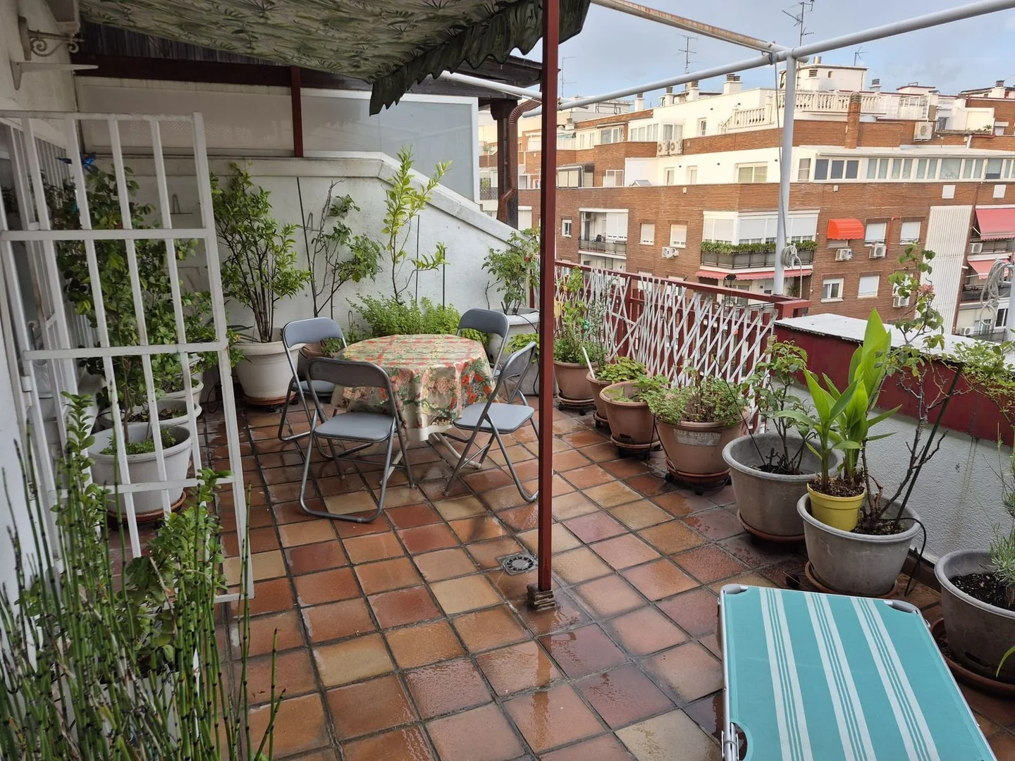Ático en Calle de Clara del Rey, 45, Prosperidad - Foto 30