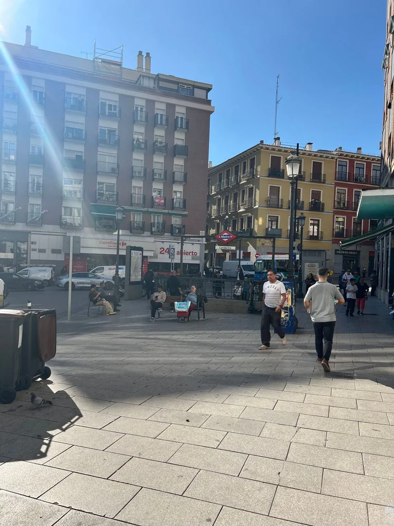 Piso en Calle de Zurita, 45, Lavapiés-Embajadores - Foto 8