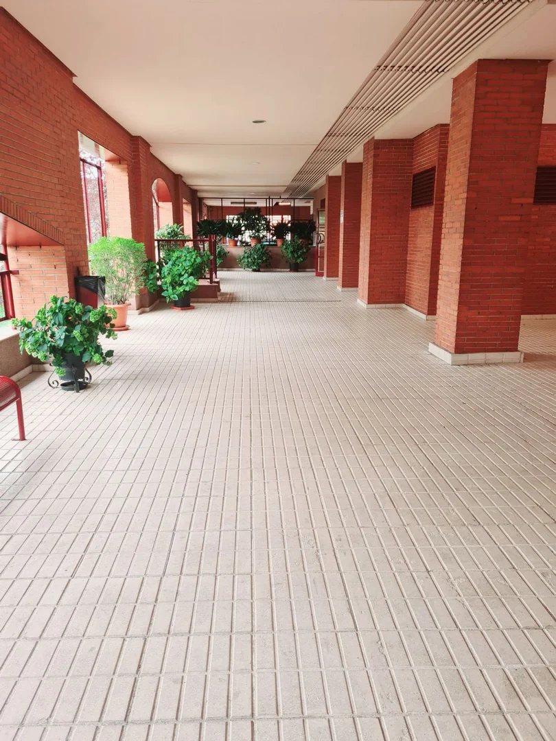 Piso en Calle del Alerce, 17 -23 - Foto 4