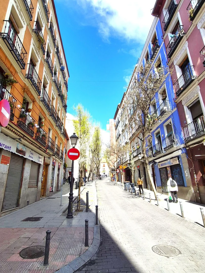 Piso en Lavapiés-Embajadores - Foto 46