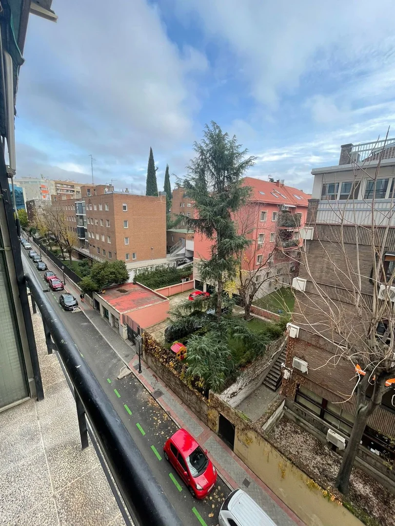 Piso en paseo de La Habana, 46 - Foto 8