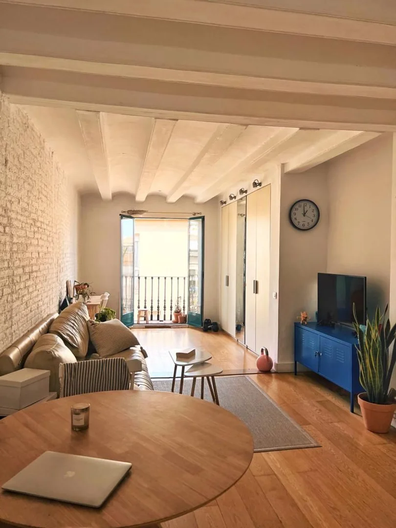 Piso en Calle de Joaquín Costa, 3, El Raval - Foto 2