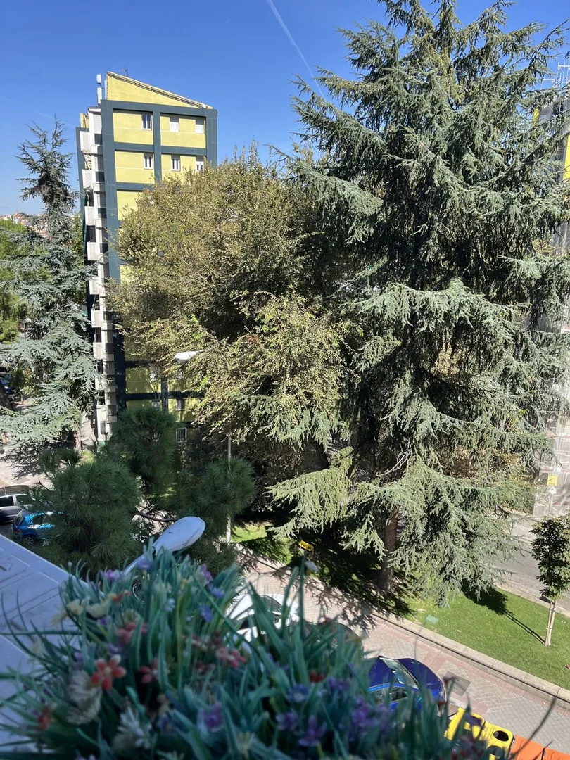 Piso en Calle de Sánchez Preciado, 41, Valdezarza - Foto 20