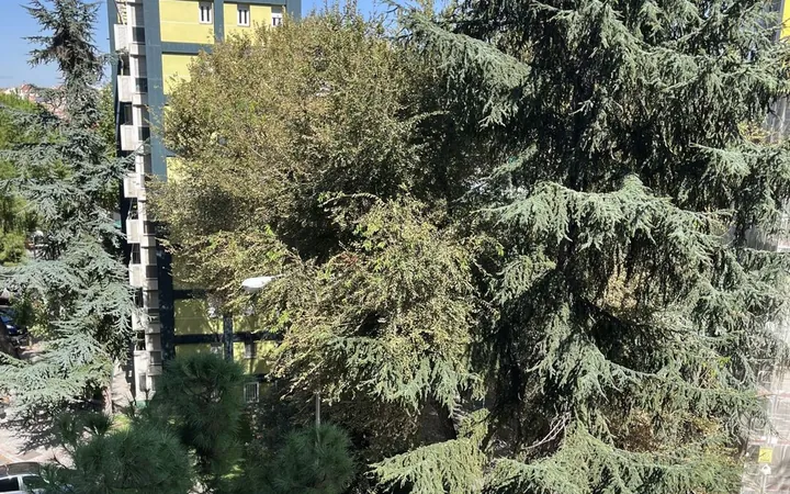 Piso en Calle de Sánchez Preciado, 41, Valdezarza - Foto 20