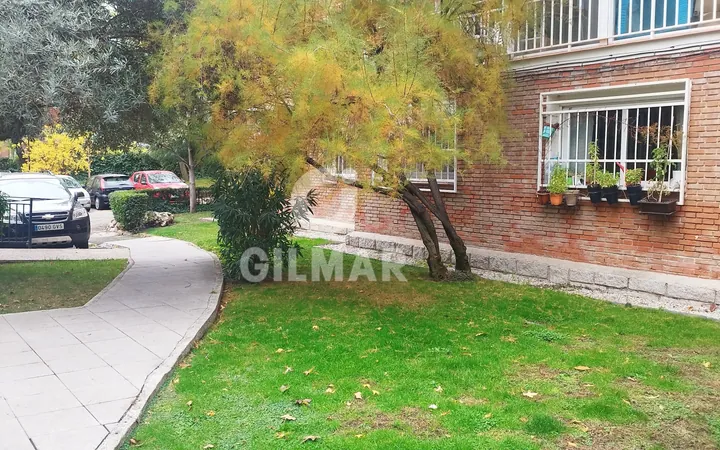 Bajo en Mirasierra, Madrid - Foto 49