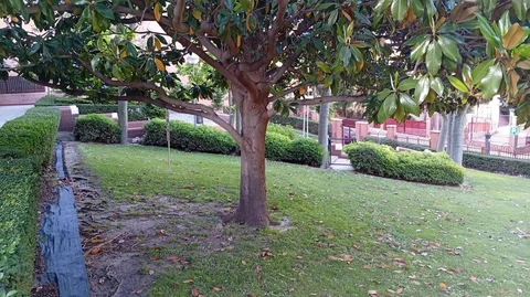 Piso en Calle del Maestro Alonso, 24 - Foto 3