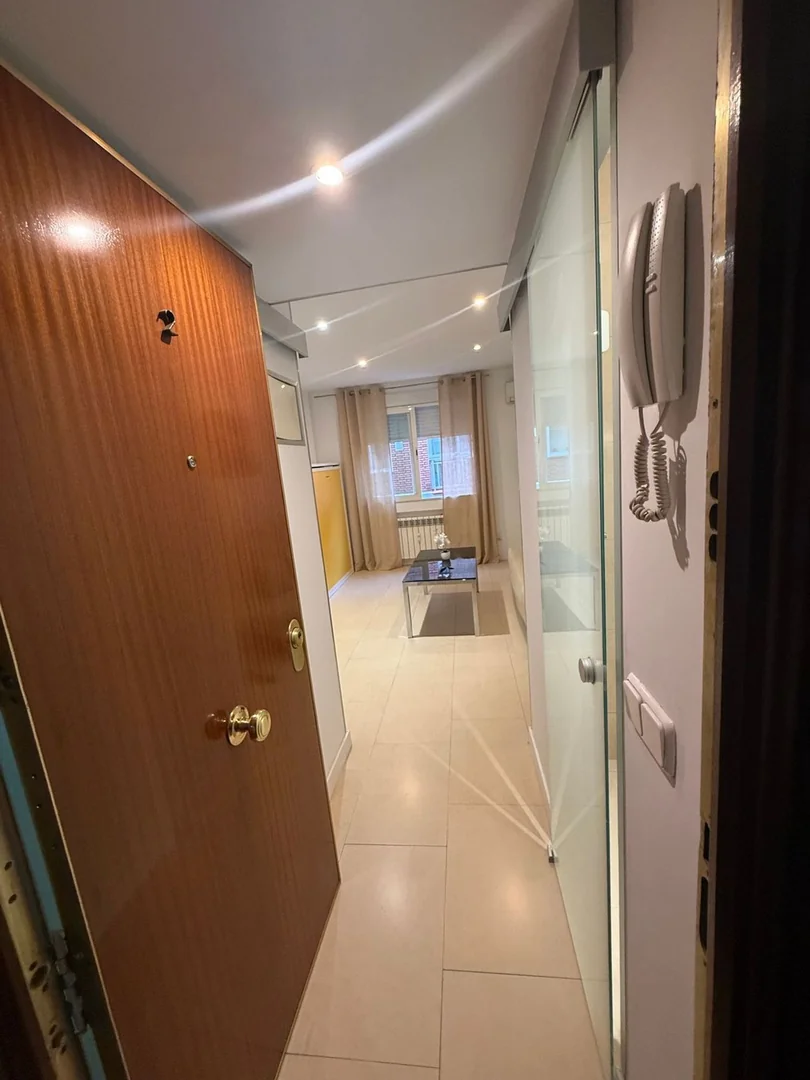 Estudio en Calle de Sánchez Pacheco, 16, Ciudad Jardín - Foto 9