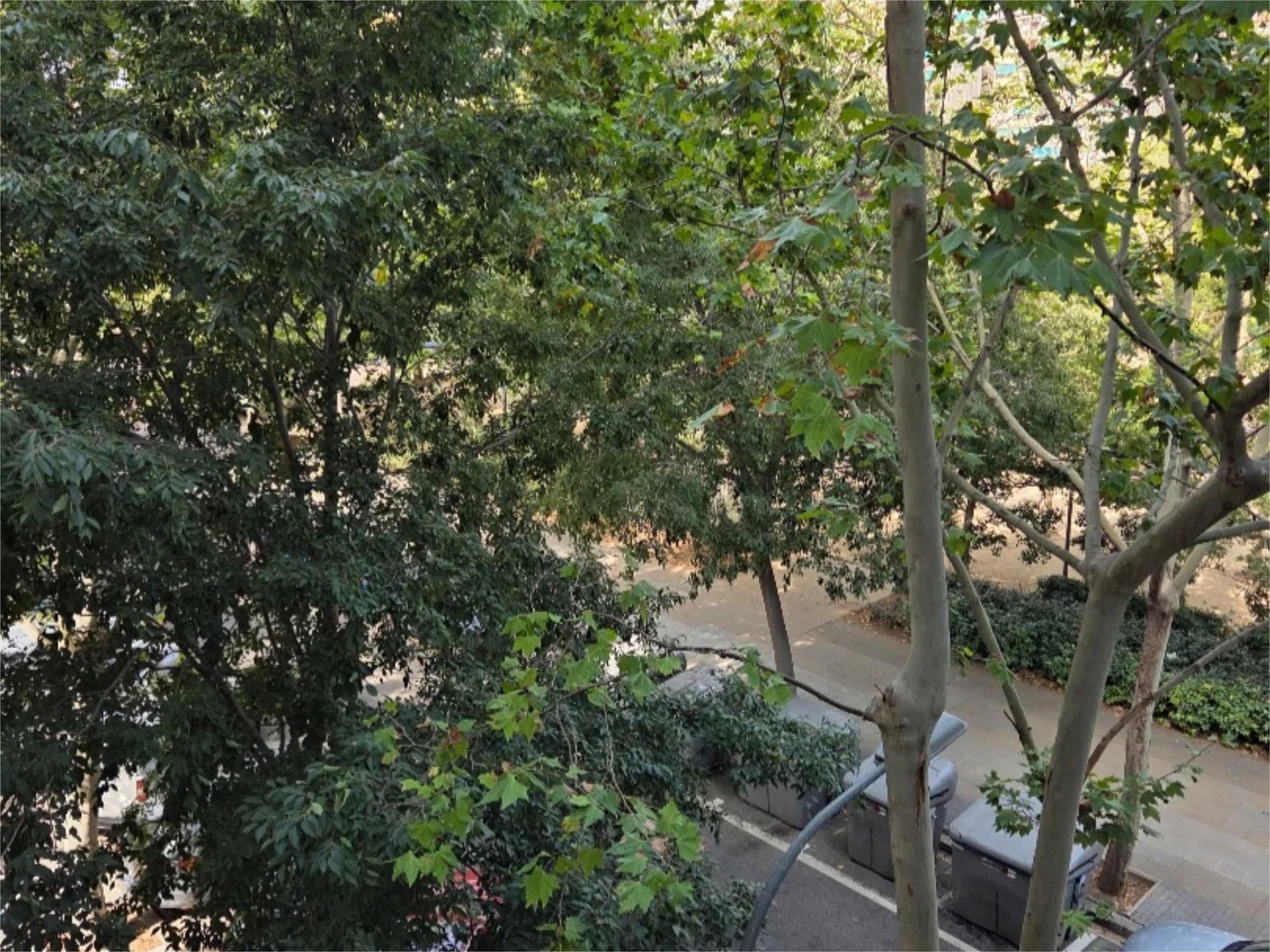 Piso en  Carrer del Treball 275 - Foto 81