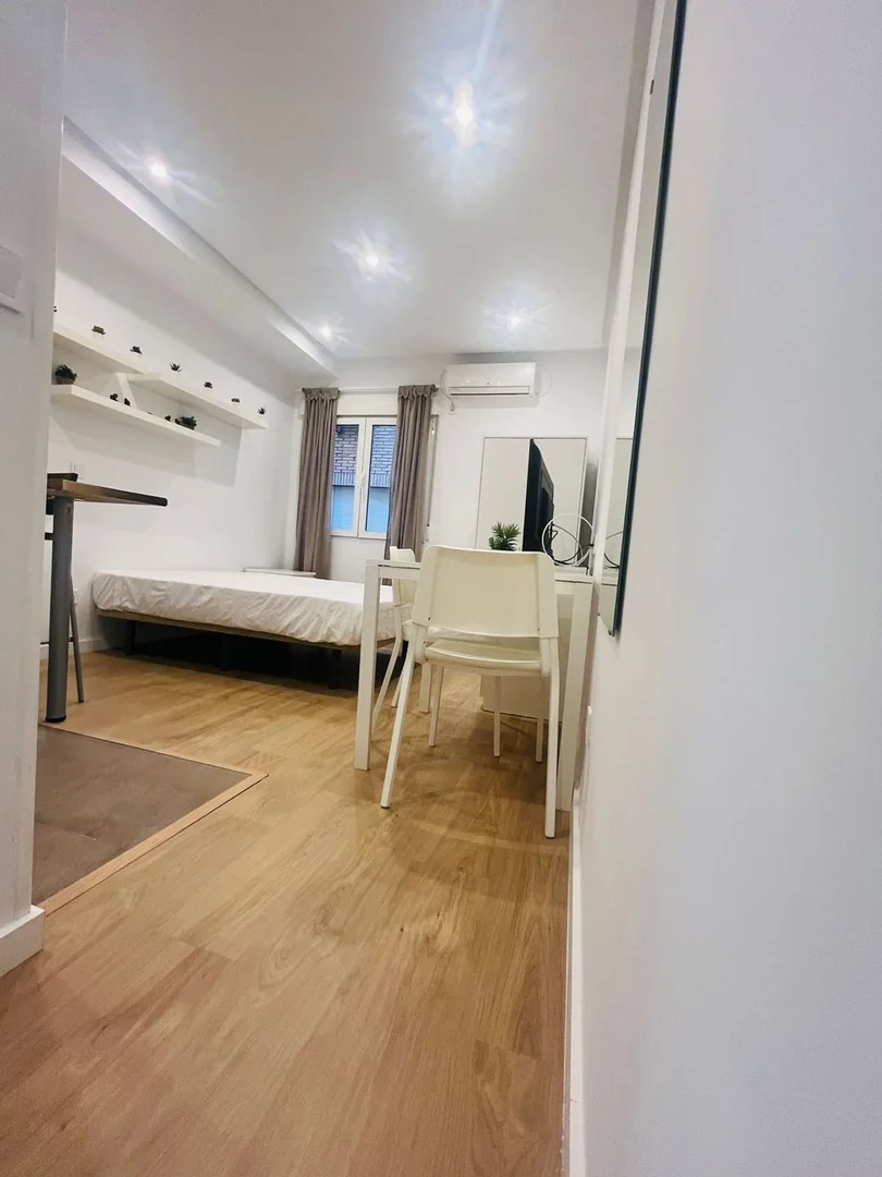 Estudio en Calle de Lagasca - Foto 11