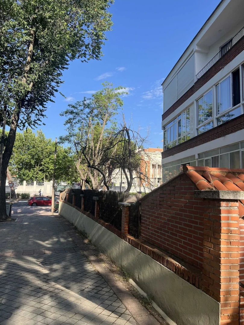 Estudio en Calle de Ramón Fort, 5, Costillares - Foto 16