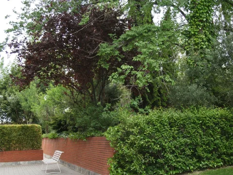 Piso en  Calle de Rosalía de Castro 75 - Foto 23