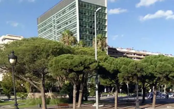 Local comercial en  Diagonal - Foto 1