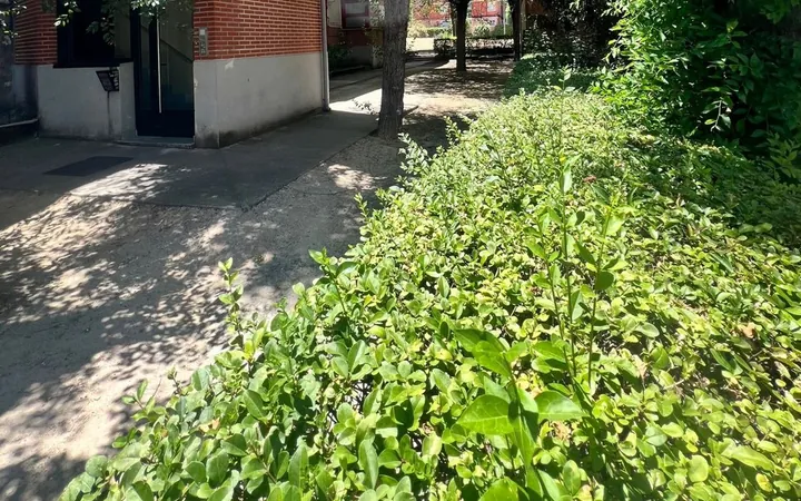 Piso en Calle Angel Luis la Herran, 14 - Foto 25