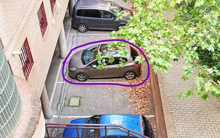 Piso en Calle Prímula, 4, San Isidro - Foto 20