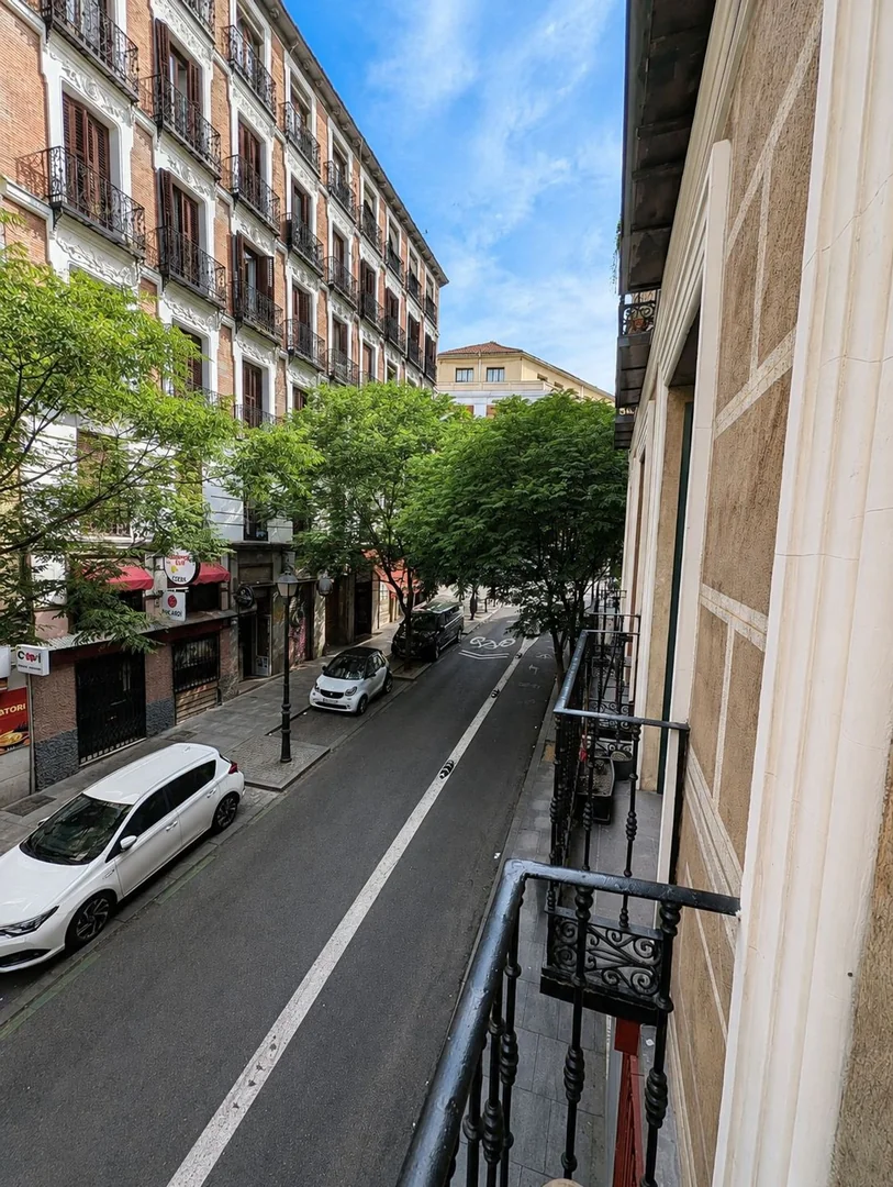 Piso en Reyes, Malasaña-Universidad - Foto 19