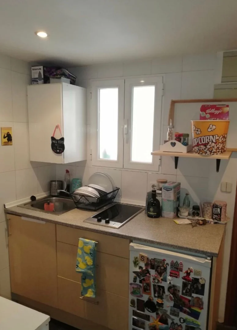 Piso en Calle del Salitre, 36, Lavapiés-Embajadores - Foto 5