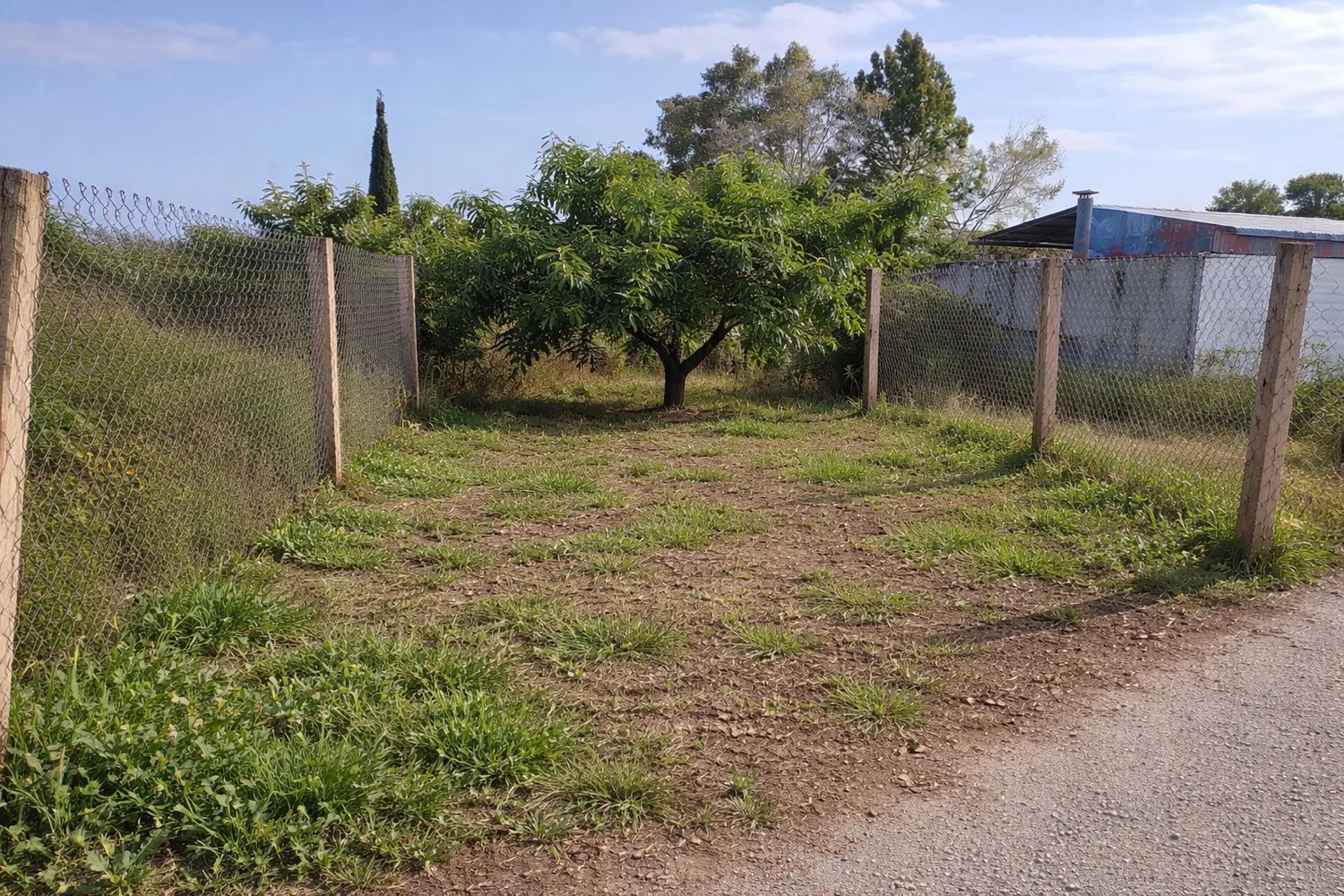 Finca rústica en casa rústica e Paraje Los Urreas 51 Losurreas, Murcia, 51 - Foto 14