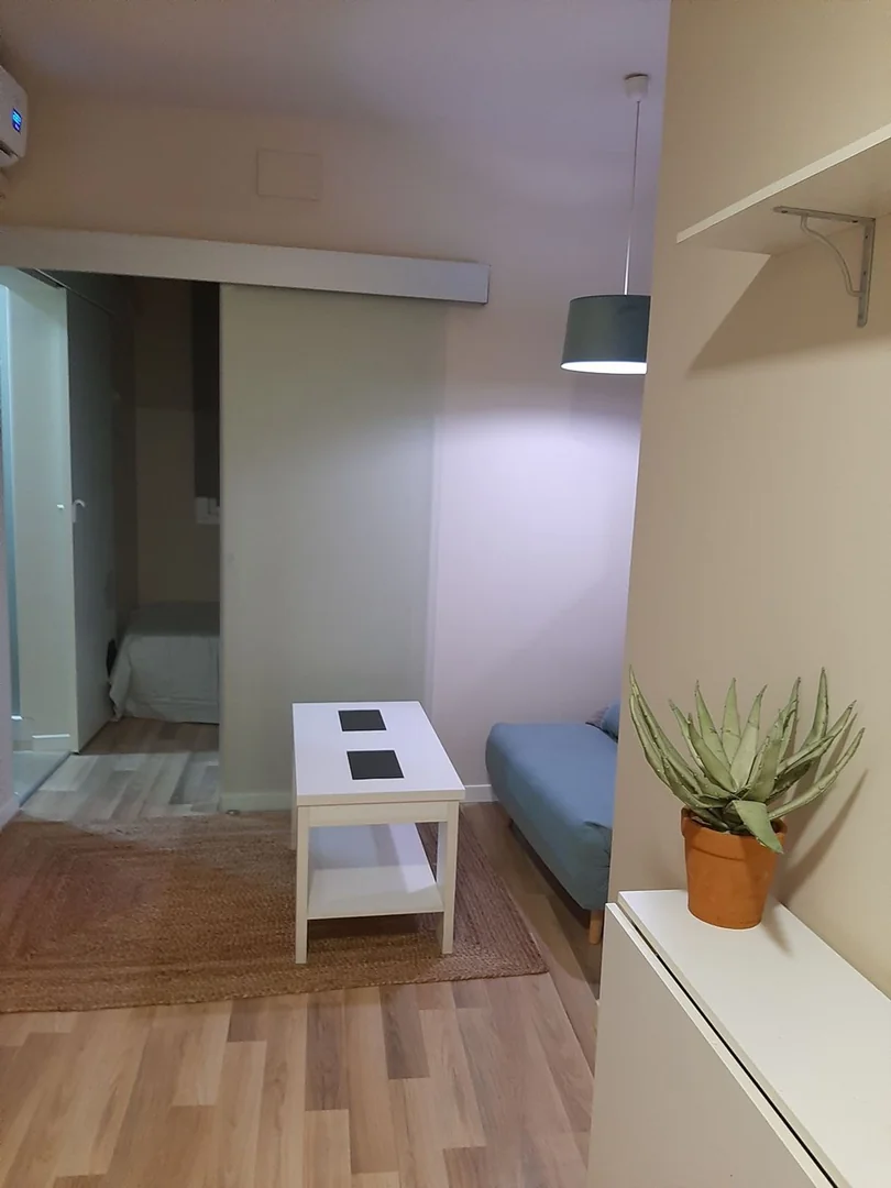 Estudio en Calle del Cardenal Cisneros, 33, Trafalgar - Foto 17