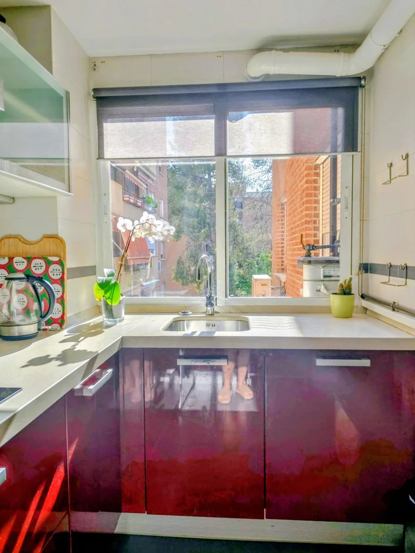 Piso en Calle Soto Hidalgo, 10, Alameda de Osuna - Foto 19