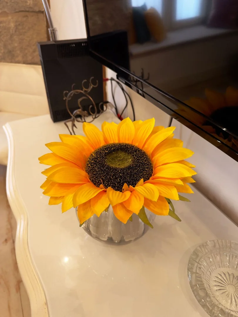 Estudio en calle del Olivar, 21 - Foto 12