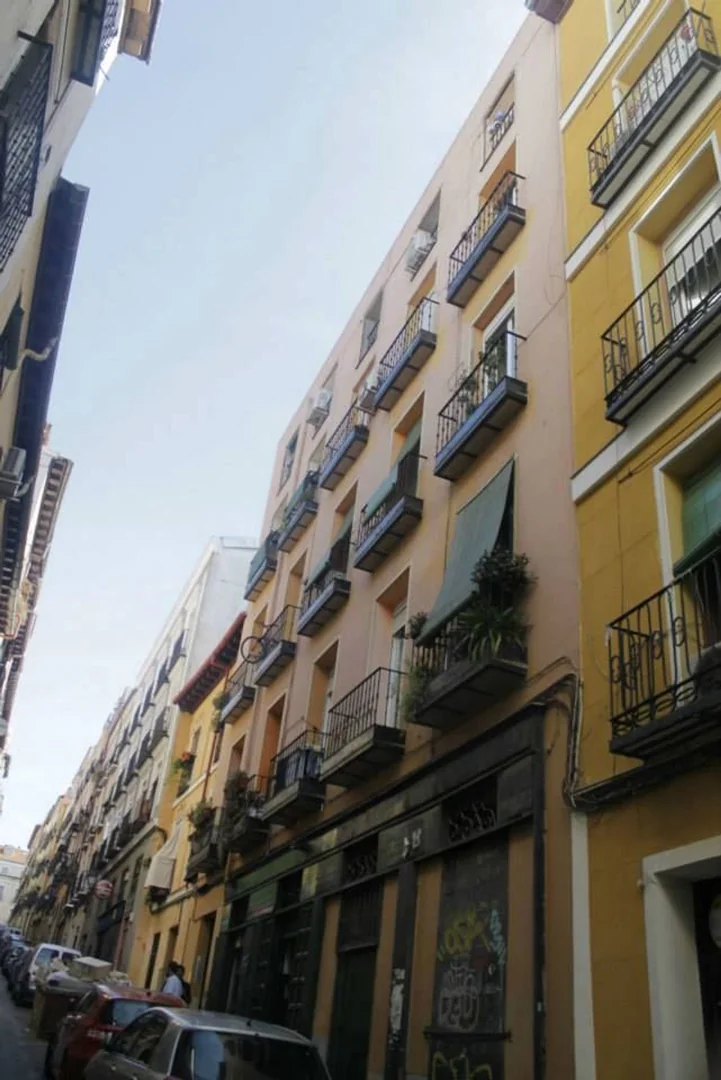 Piso en Calle Salitre, 27, Lavapiés-Embajadores - Foto 20