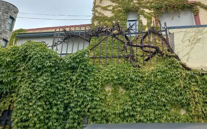 Casa o chalet independiente en Avenida del Cardenal Herrera Oria, 334 - Foto 38
