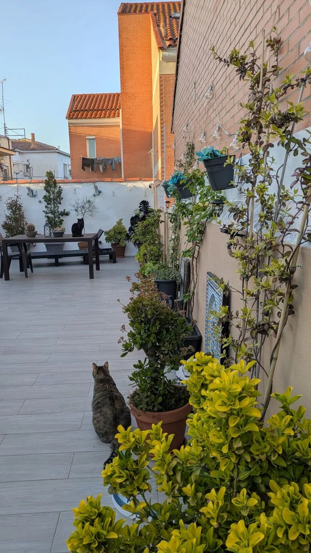 Ático en Barrio Casco Histórico de Vicálvaro - Foto 24