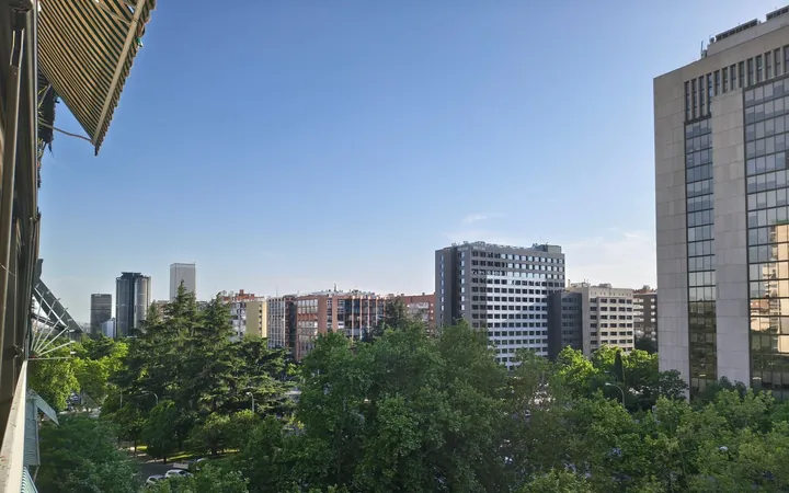 Piso en Paseo de la Castellana, 172 - Foto 18