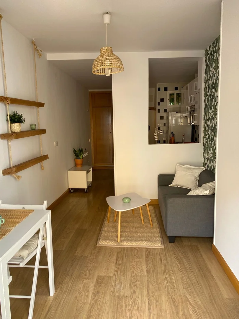 Estudio en Calle de Buenavista, 24, Lavapiés-Embajadores - Foto 13