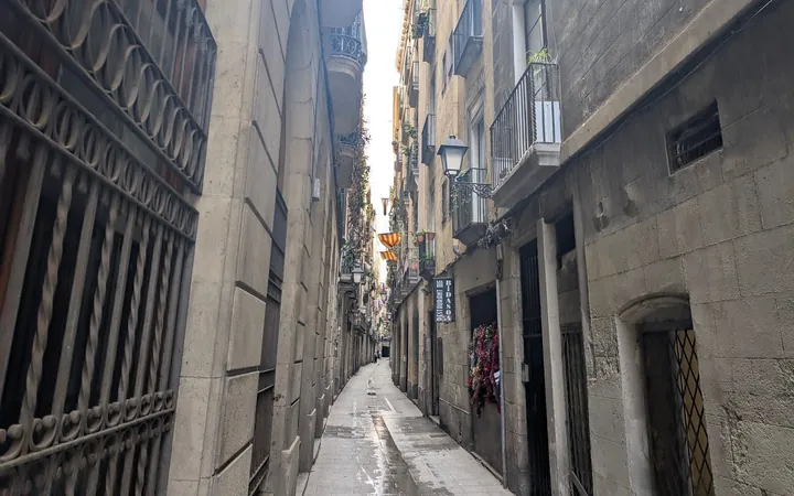 Piso en Calle d'en Serra, 17, El Gòtic - Foto 21