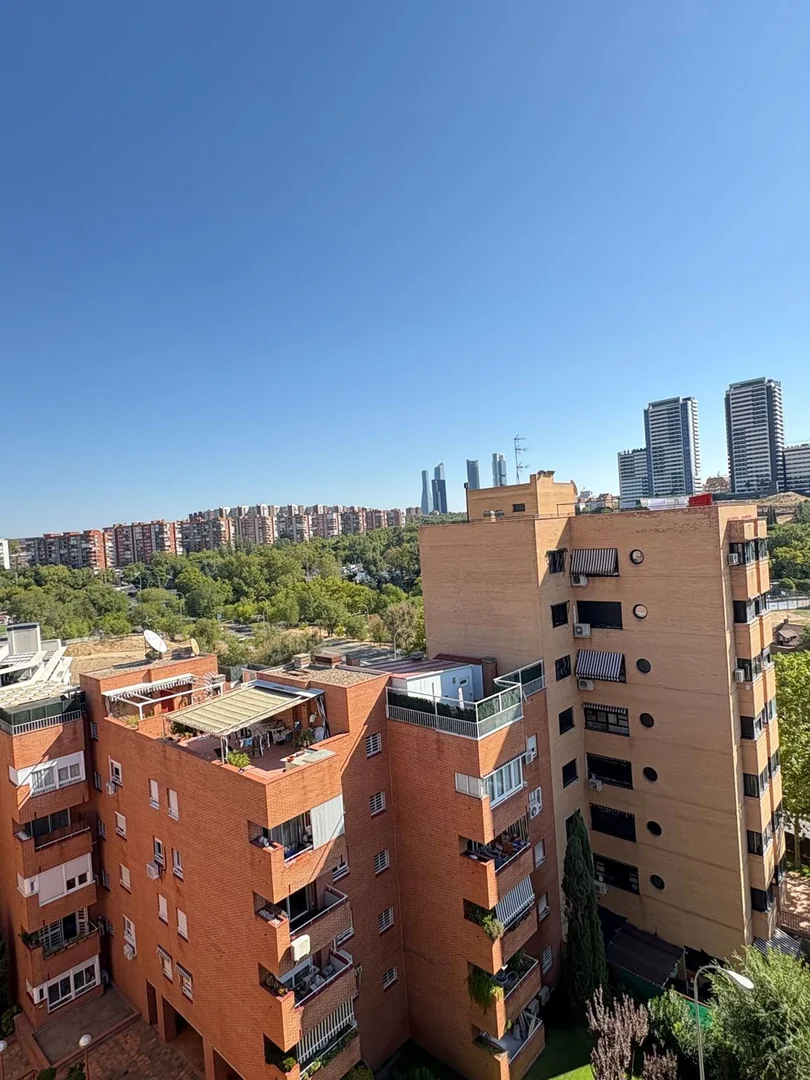 Piso en Calle del Valle de Bergantiños, 5, Valdezarza - Foto 38