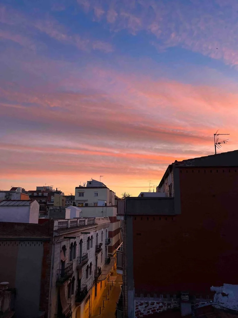 Ático en Calle de Cerdanyola, 31, Sants - Foto 16