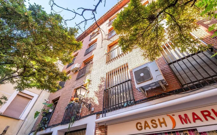 Piso en Calle de Lavapiés, Lavapiés-Embajadores - Foto 30