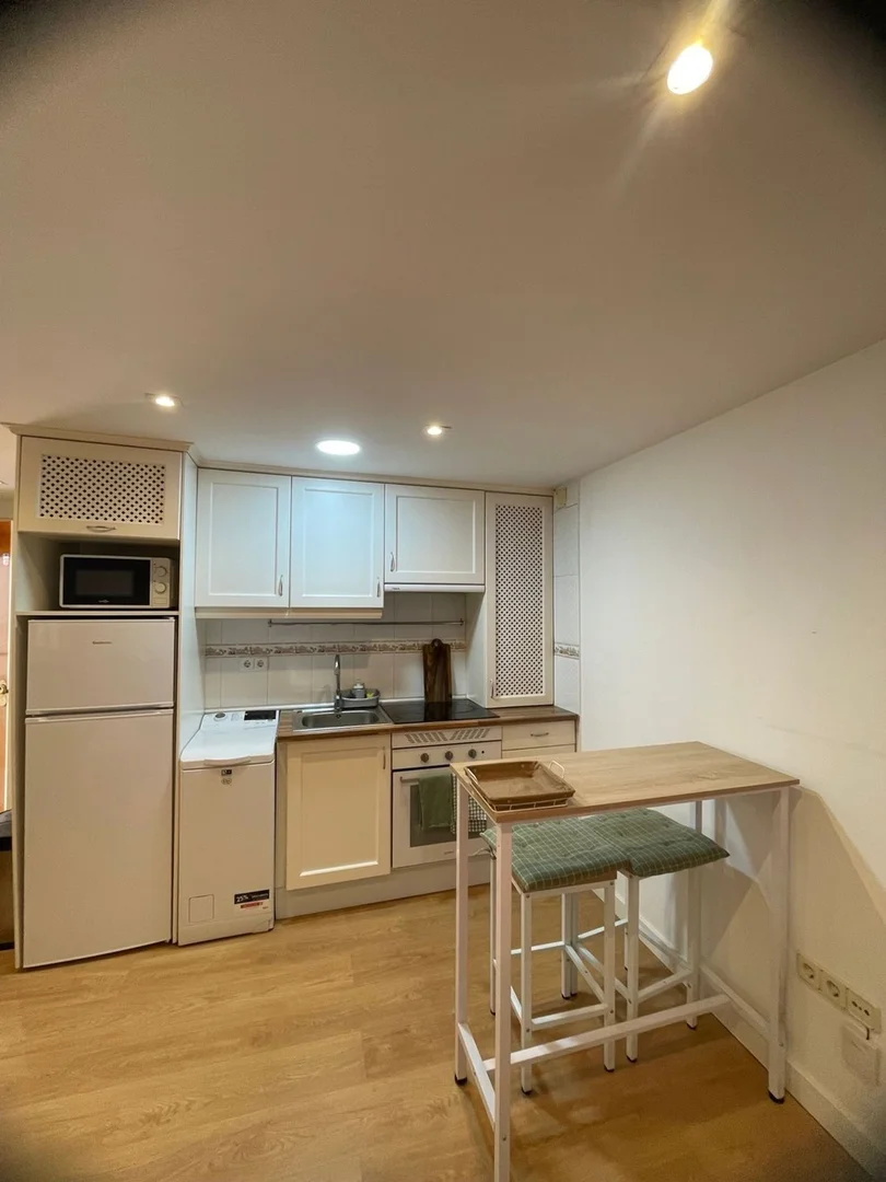 Estudio en Calle de Eugenio Sellés, 5, Chopera - Foto 3