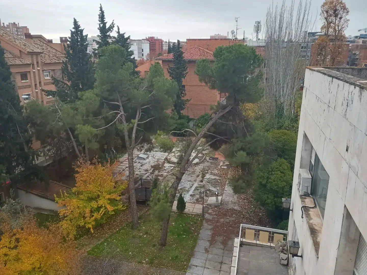 Terreno Residencial en  Calle de los Narcisos 9 - Foto 3