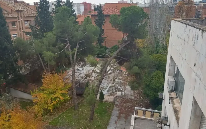 Terreno Residencial en  Calle de los Narcisos 9 - Foto 3