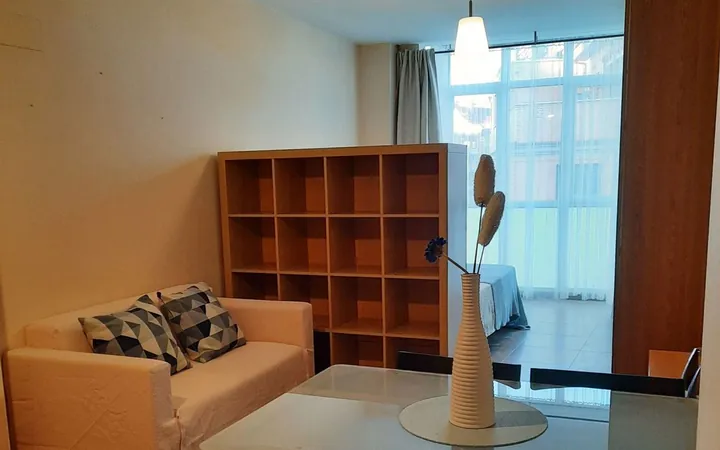 Estudio en Calle del Sauco, 8, Berruguete - Foto 1