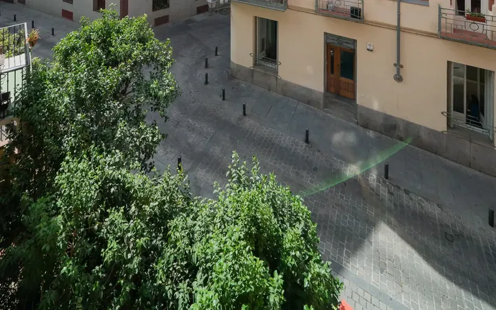 Estudio en Palacio, Madrid - Foto 13