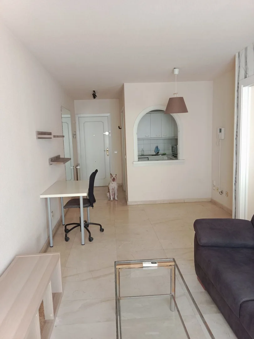 Piso en Calle de Maudes, 21, Nuevos Ministerios-Ríos Rosas - Foto 17