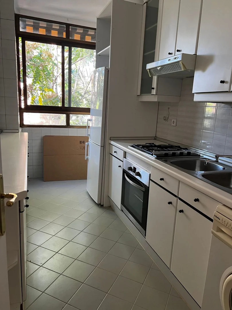 Piso en Calle de José Silva, 1, San Juan Bautista - Foto 12
