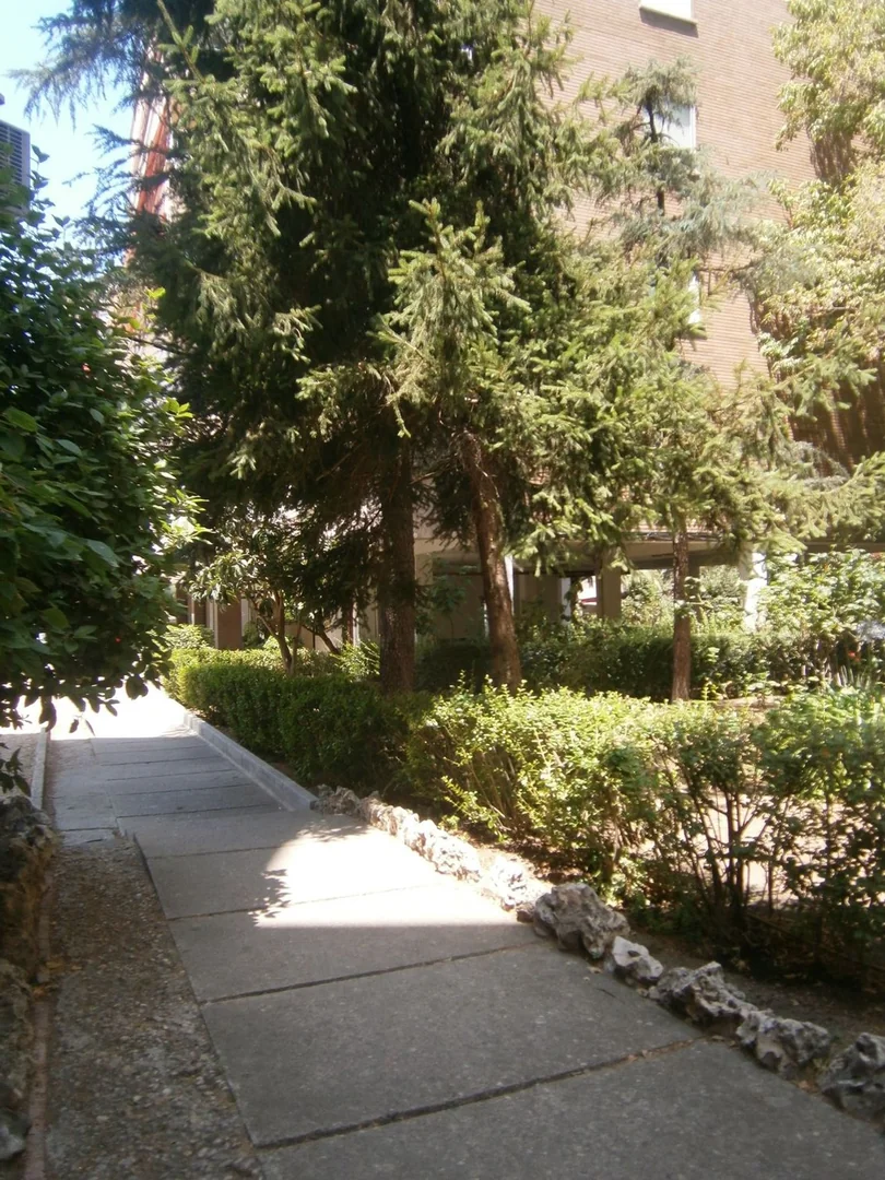 Piso en Calle de Numancia, 27, Bellas Vistas - Foto 4