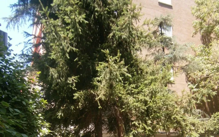 Piso en Calle de Numancia, 27, Bellas Vistas - Foto 4