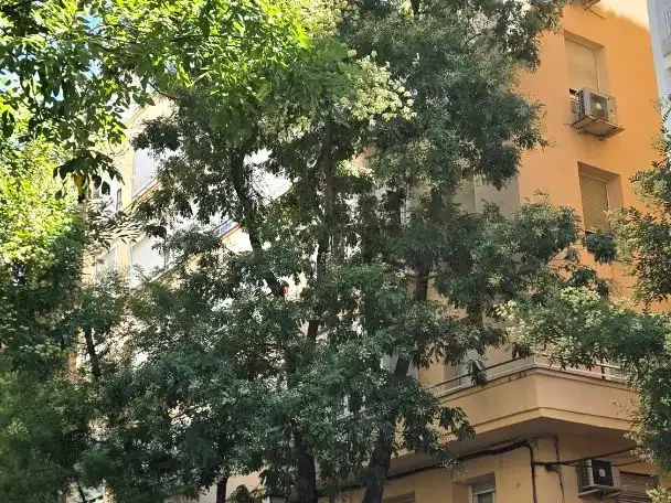 Piso en  Calle de Guzmán el Bueno 68 - Foto 16